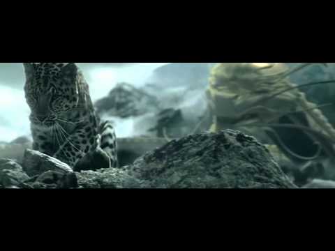 L'odyssee de Cartier