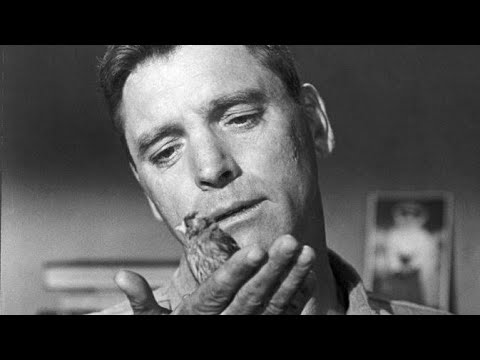 Alkatraz Kuşçusu (1962) John Frankenheimer Burt Lancaster Stroud Birdman of Alcatraz, Thomas Gaddis