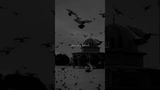 Download lagu Rahman Ya Rahman - Mishary Rashid Al Afasy #purelymuslim @misharyrashid1357 mp3