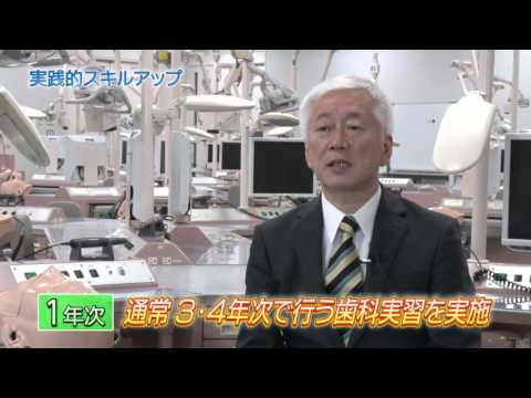 神奈川歯科大学カリキュラムの魅力