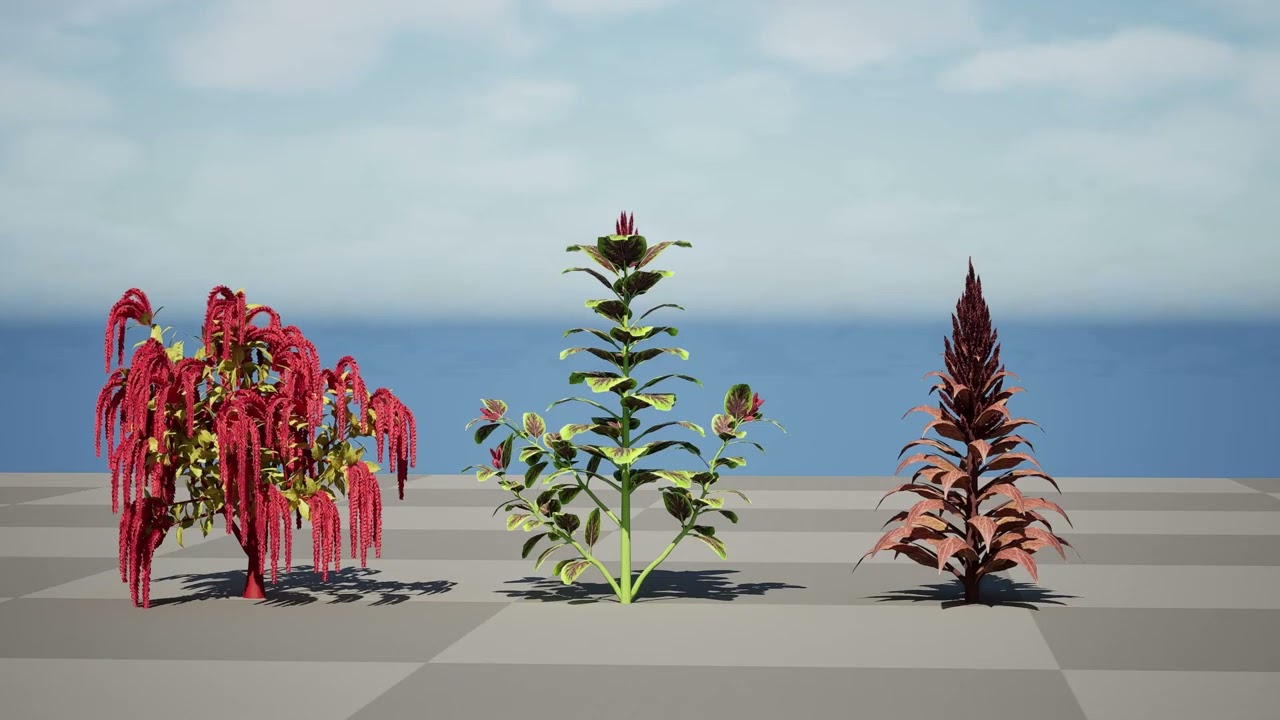 Коллекция Амаранта 3D Модель