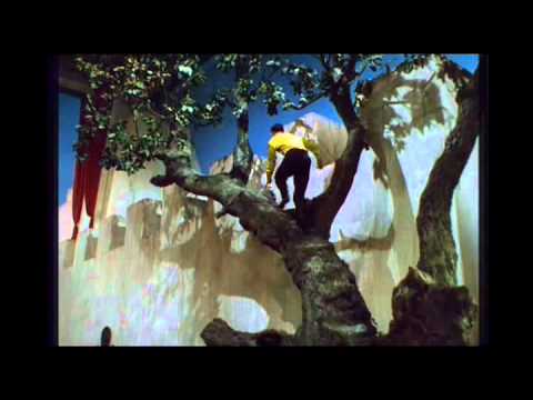Gene Kelly doing his own stunts