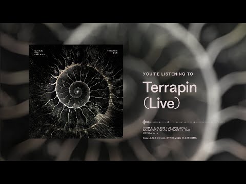 Outrun the Sunlight - Terrapin (Live) [Full Album]