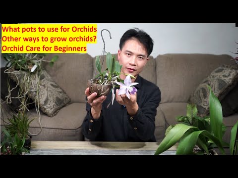 , title : 'What pots to use for Orchids？| Other ways to grow orchids? | Orchid Care for Beginners