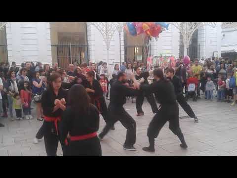 A.I.DI.Bio.  Bari Benessere a San Nicola 2015   NINJUTSU Flashmop a P zza Ferrarese