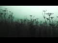 Carbon Based Lifeforms - Central Plains 
