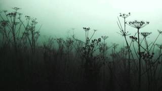 Carbon Based Lifeforms - Central Plains