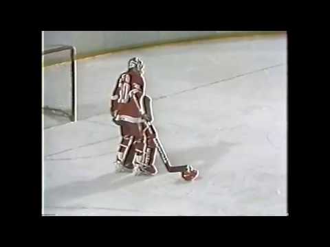 1989 playoffs game 4 red wings @ blackhawks