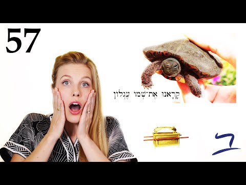 Hebrew - Strike & Fall - הִכָּה נָפַל - Biblical Hebrew - Lesson 57