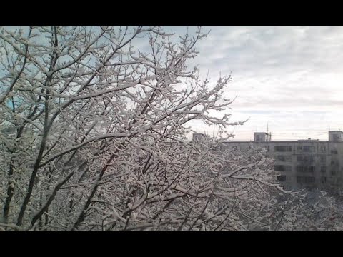 Die Antwoord , Apashe & Nitti Gritti ft. Drake & Instasamka - Popstar Uebok