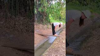 Download lagu Oh no!😯😲😲😲He Thought He Was Sneaky! 😭😭 #funny #short #nlenthanh0406 mp3 Download lagu Oh no!😯😲😲😲He Thought He Was Sneaky! 😭😭 #funny #short #nlenthanh0406 mp3