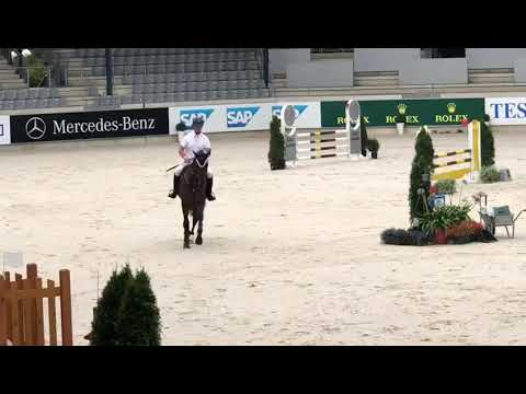 SOLD Devon 5 y/o gelding by Dinken x Quintero placed up to 110