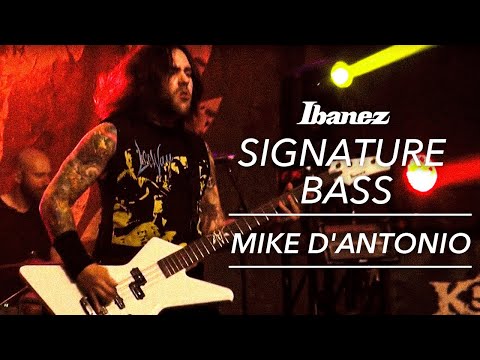 Mike D'Antonio on his Ibanez MDB4 signature Bass