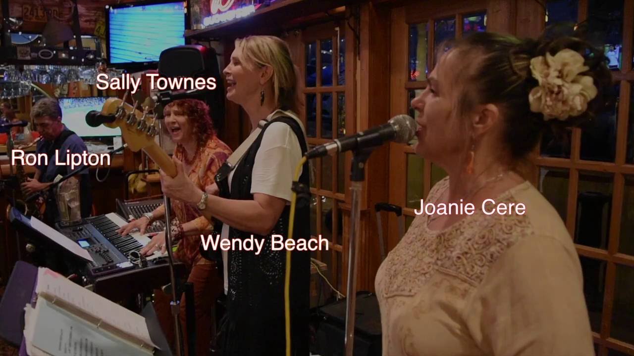 Promotional video thumbnail 2 for Sally Townes Band