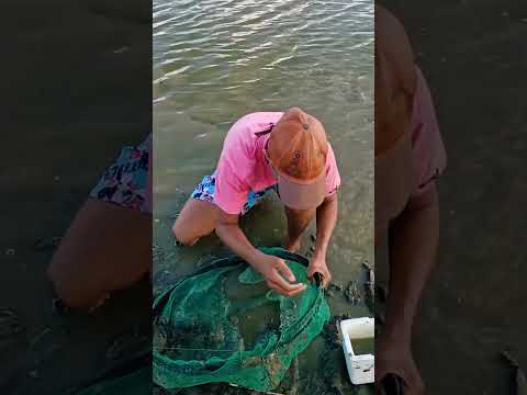 Açude do Tanques preto em Tenente Laurentino Cruz