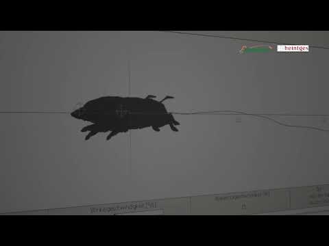 5. Tipps und Tricks zum Schießen - Laufender Keiler