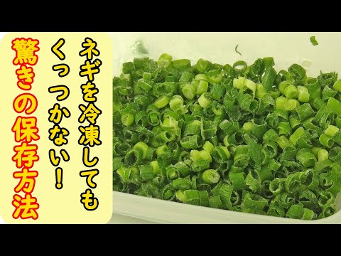 ネギの冷凍:これが最良の結果を得る方法です 植物