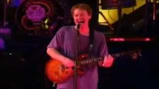 Whole Day Off by Oingo Boingo