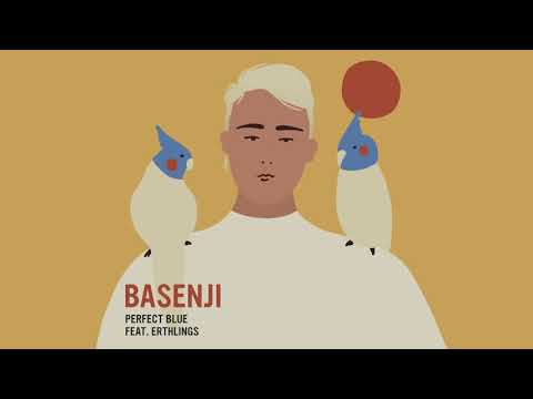 Basenji Perfect Blue Feat Erthlings