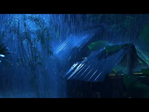 Addio Insonnia per Dormire con Pioggia Fitta e Tuoni Potenti sul Tetto di Metallo nella Foresta