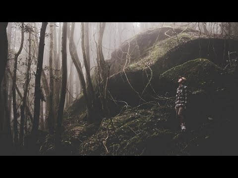 Sibewest x Loneliness // Blackout