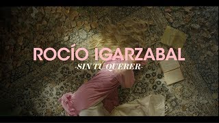 Sin Tu Querer Music Video