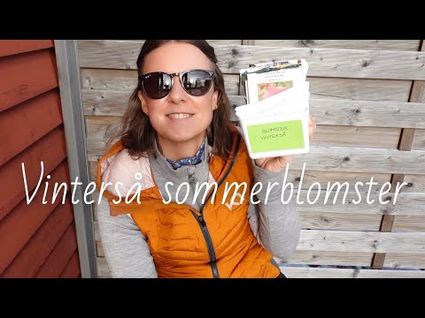 Vinterså sommerblomster 2023