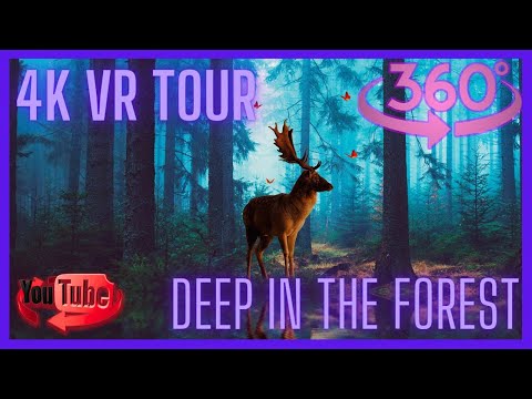 Deer in the woods, the Alps 360 vr video
