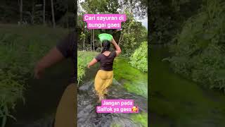 Download lagu Cari sayuran di sungai #outdoors #fishing #survival #hunting #jiaamalia20 #jiasurvivalskils #cooking mp3 Download lagu Cari sayuran di sungai #outdoors #fishing #survival #hunting #jiaamalia20 #jiasurvivalskils #cooking mp3