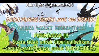 Download lagu SUARA PANGGIL RESPON 1000% 2023 | Suara Walet Terbaru mp3