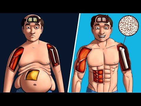 Muscle hypertrophy: What happens when you build muscle? (What science says)