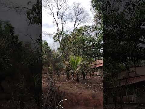 Chácara Bom Jesus do Amparo MG