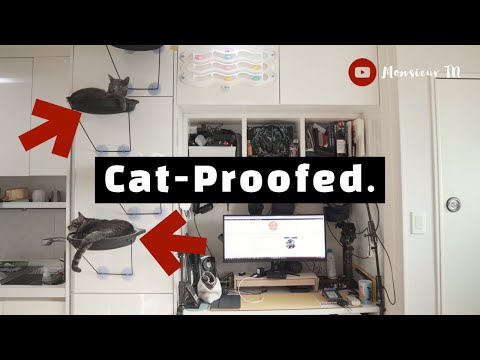 How to Cat-Proof Your Computer Gaming/Office Work Area!