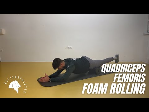 Musculus Quadriceps Femoris