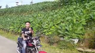 Download lagu Story wa-bojomu semangat ku,jomblo iso opo😉 mp3