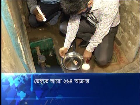 গত বছরের তুলনায় এবছর এডিস মশার ঘনত্ব অনেক বেশী | ETV News