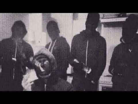 Popayedi x Rispa - G