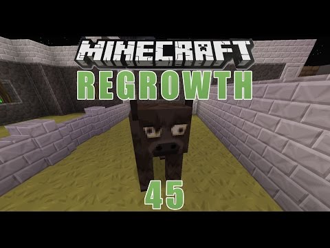 Minecraft Regrowth - #45 - Eine Kuh!