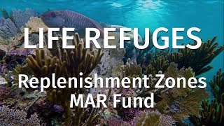  Live Refuges Replenishment Zones Part 2