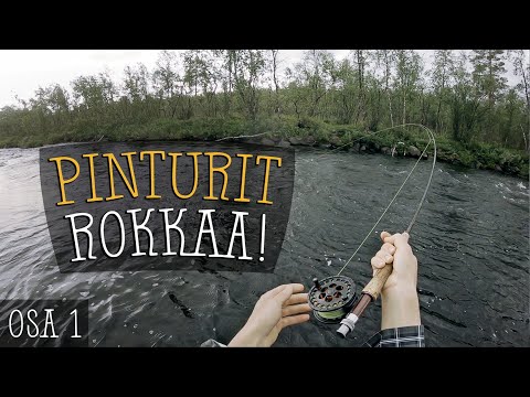 JOKI TÄYNNÄ HARJUSTA | Harjuksen perhokalastus | Kalastus Lapissa