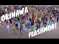 ##OKI FLaSH MOB## . LMFAO Party Rock Anthem ...