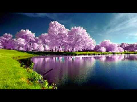 Tu imi dai puteri # Sanja Cristea Tiberian # Iubirea Ta # Volumul 20