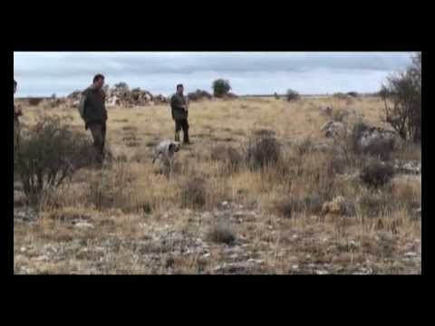 UCEPB. Secuencia 01_La Sequera de Haza