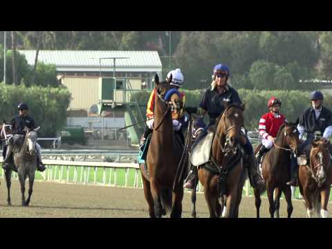 Hoppertunity Seeks Redemption in the TVG Pacific Classic