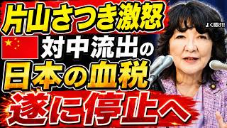 日本の主権が静かに奪われる？外為法18年ぶり発動と中国系決済の深すぎる闇
