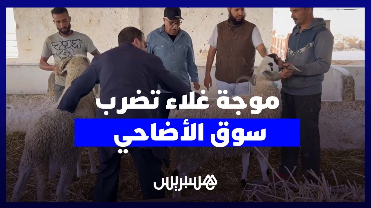 أسعار الأضاحي تشتعل قبل العيد.. والمهنيون يحذرون من “الأسبوع الأخطر” thumbnail