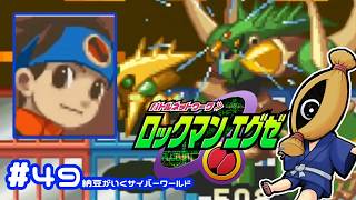 【初見実況#49  納豆がいく電脳世界　ロックマンエクゼ実況【納豆】