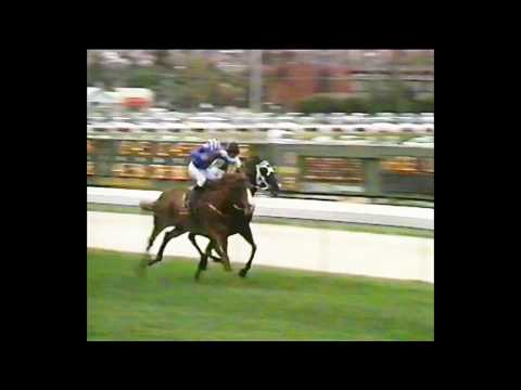 1989 MVRC W S Cox Plate