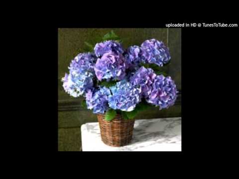 Today's Tango Is... Remembranza - Osvaldo Pugliese 04-07-1956