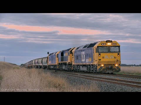 7737V Pacific National Grain Train With BL26, XR559 & BL31 (2/5/2022) - PoathTV Australian Railways
